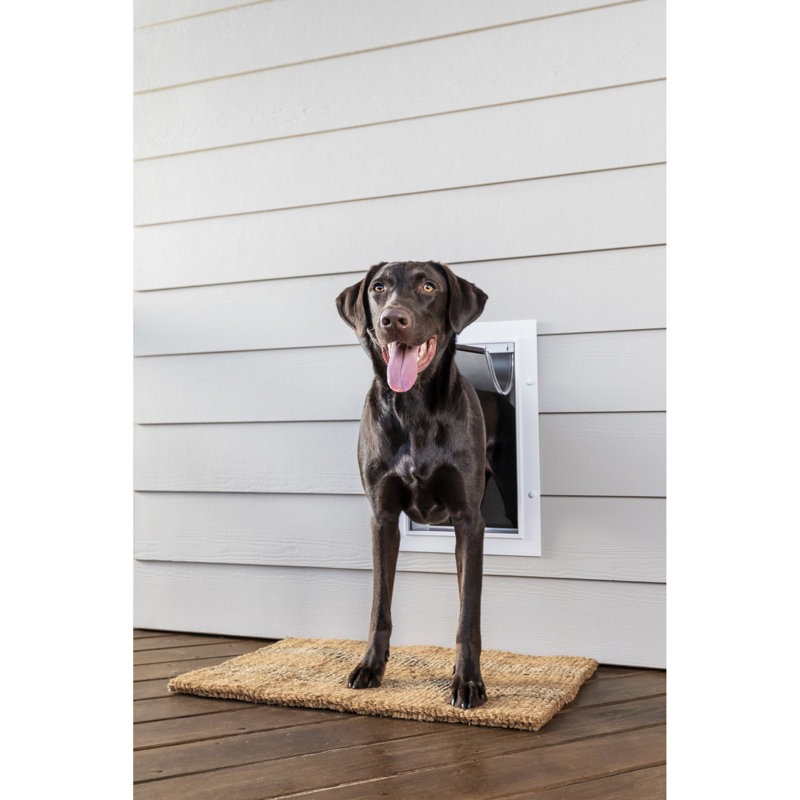PetSafe® Wall Entry Pet Door Large & Reviews Wayfair